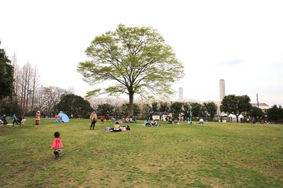🌳 오사키 공원(오사키 코엔)